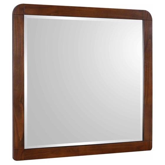 Coaster Robyn Dresser Mirror