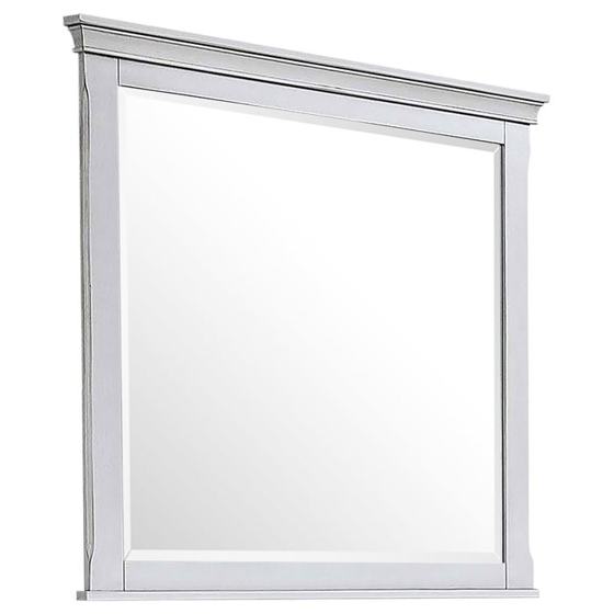 Coaster Franco Dresser Mirror