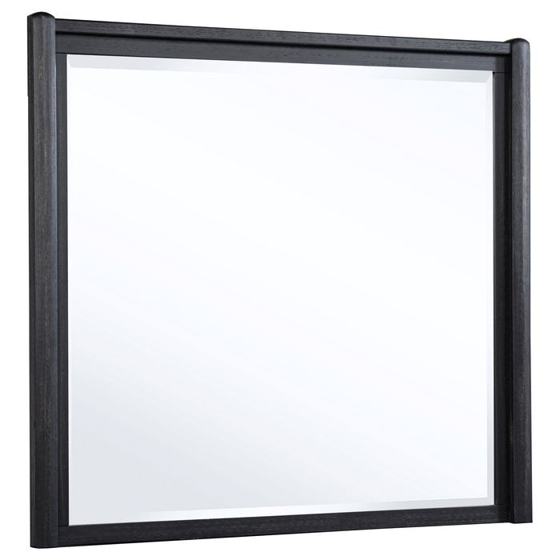 Coaster Leandro Dresser Mirror