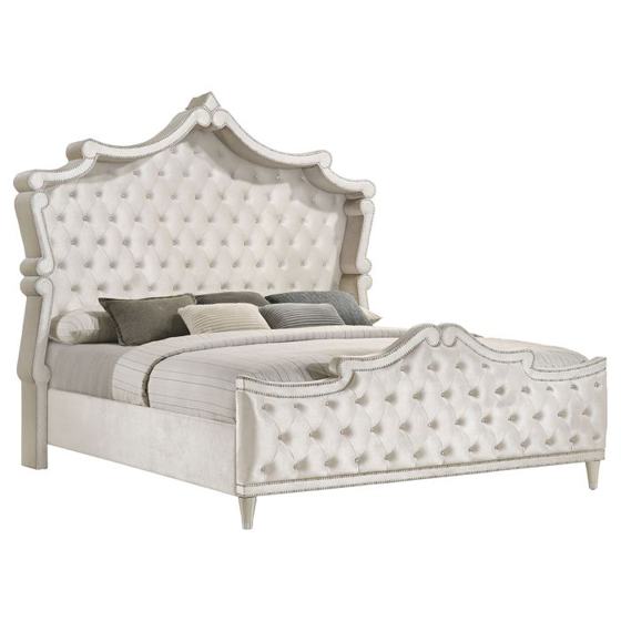 Coaster Antonella Upholstered Panel Bed