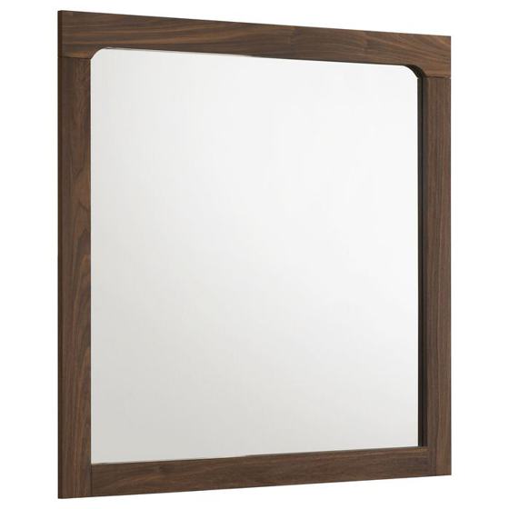 Coaster Etienne Dresser Mirror