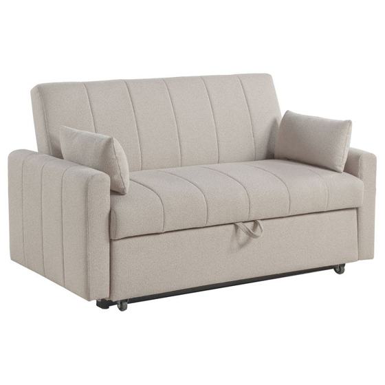 Coaster Portland Sleeper Sofa Bed