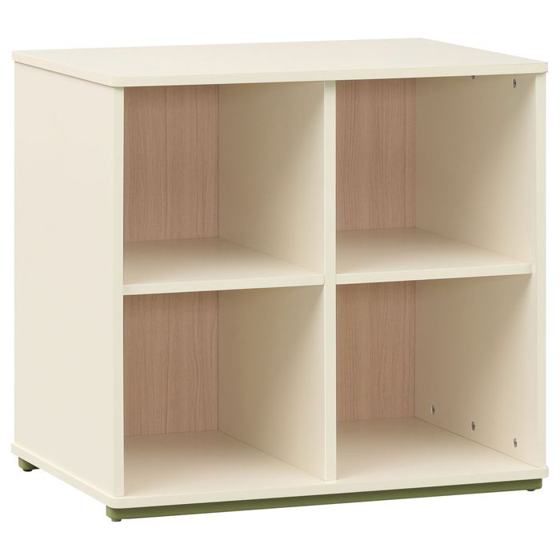 Coaster Evren 4-cubby Bookcase