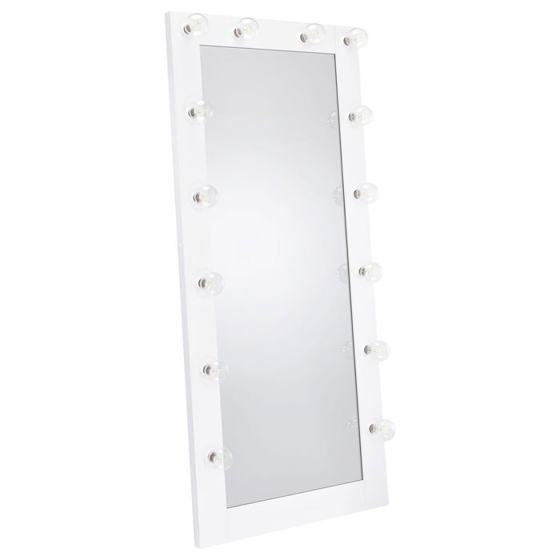 Coaster Zayan Floor Mirror