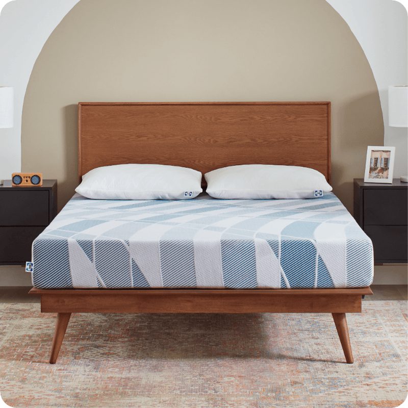 Sealy® Dreamlife 8-Inch Foam Mattress