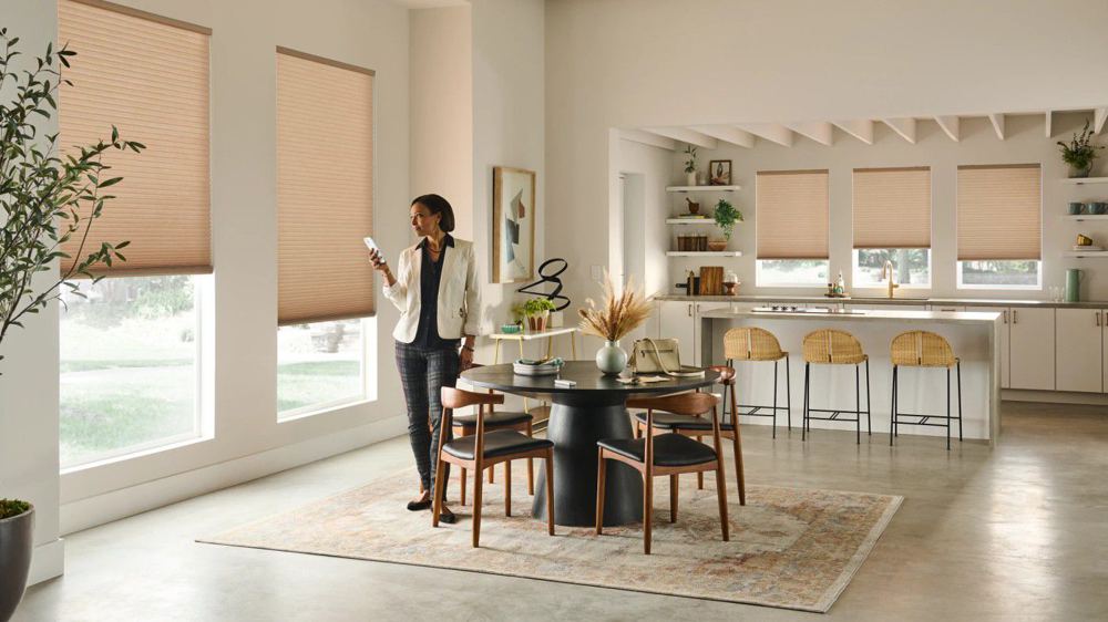 Honeycomb Shades in a room