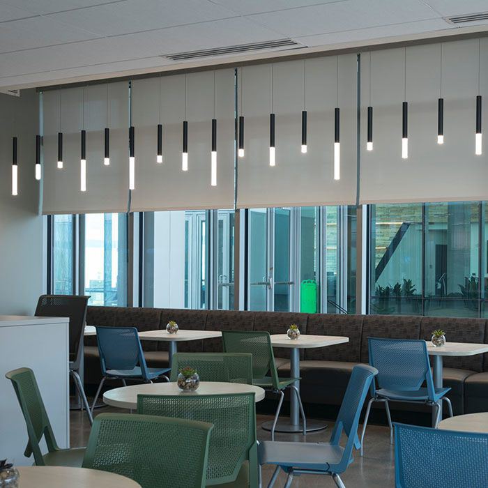 Motorized FlexShade Roller Shades in a room