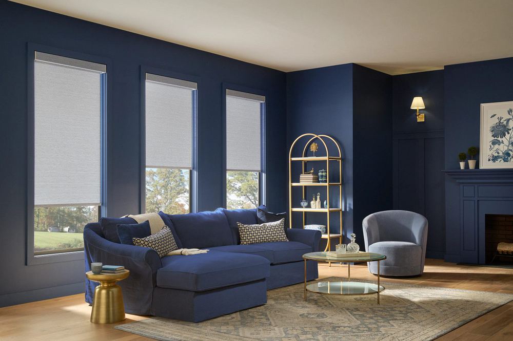 Roller Shades in a room