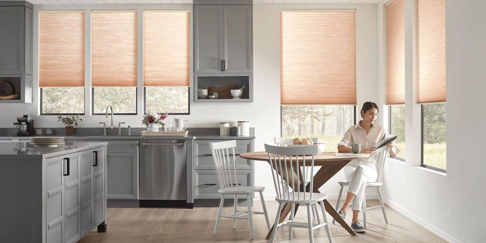 Applause Honeycomb Shades in a room